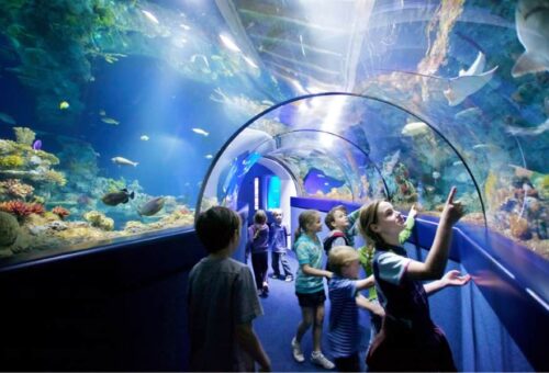 Bristol Aquarium in UK