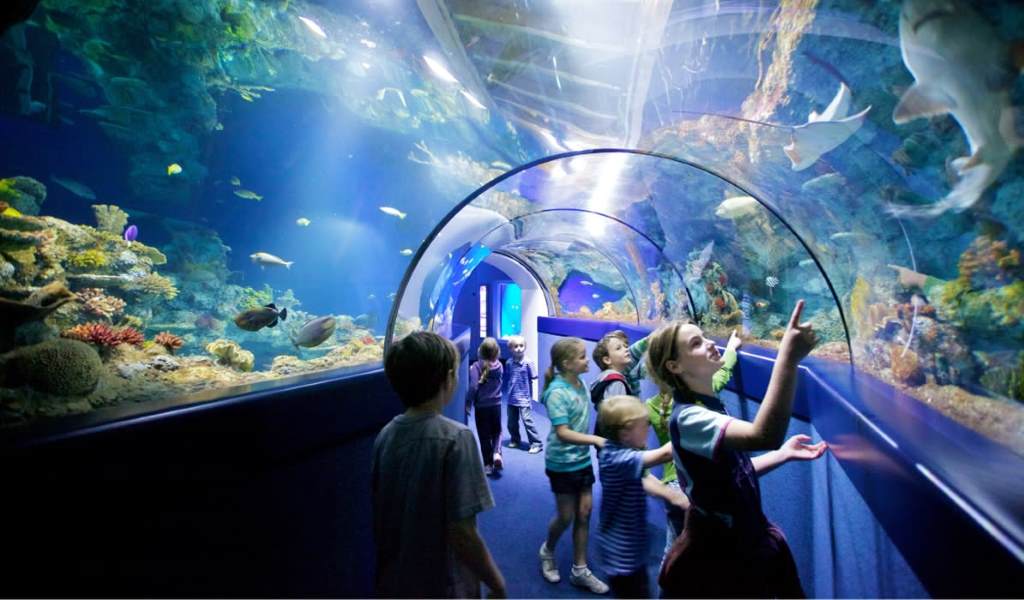 Bristol Aquarium in UK